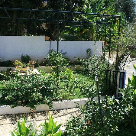דירות איפסוס Fotini'S House מראה חיצוני תמונה