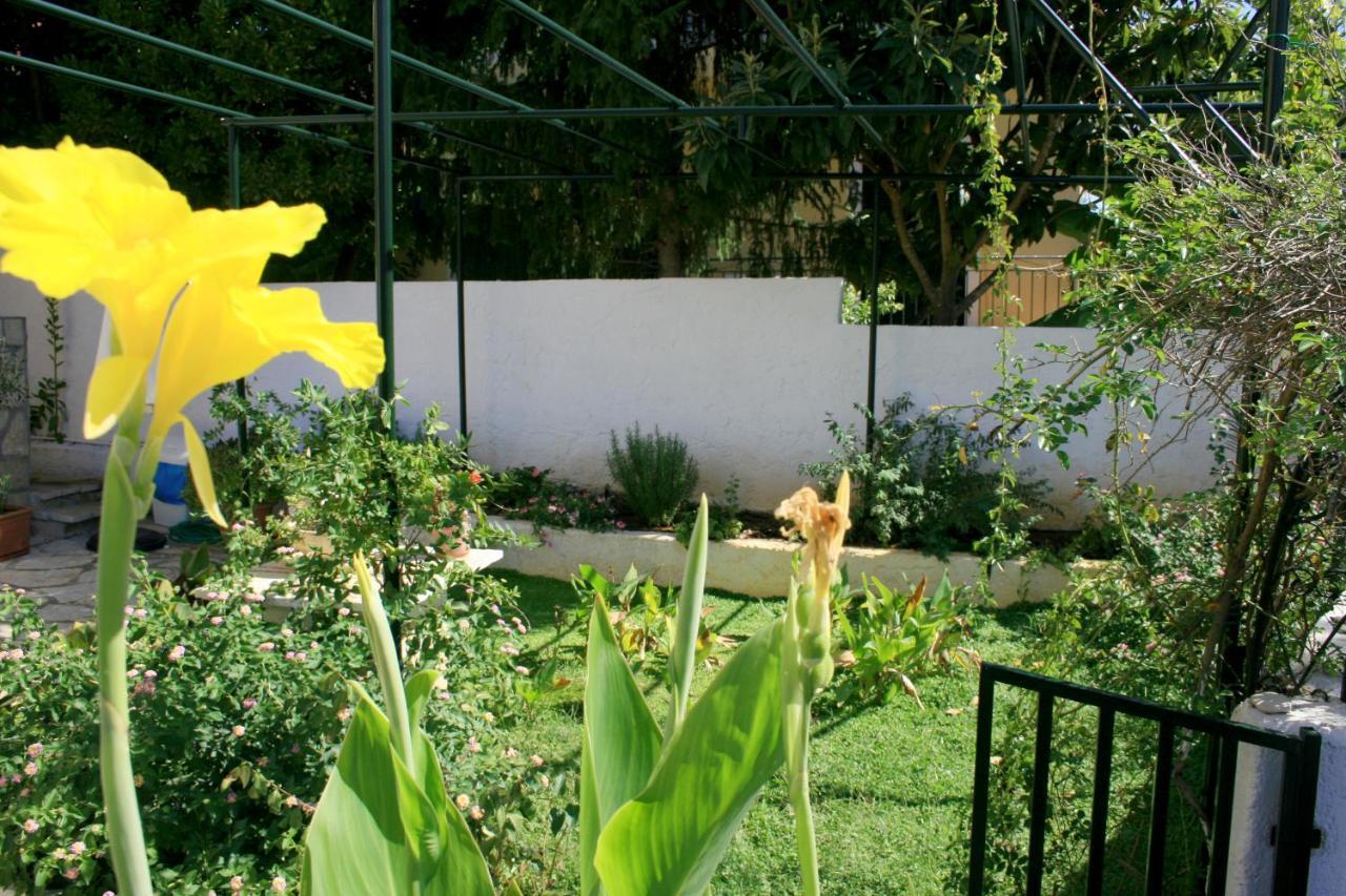 דירות איפסוס Fotini'S House מראה חיצוני תמונה